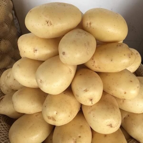 Lady Rosetta & Hermes Potatoes